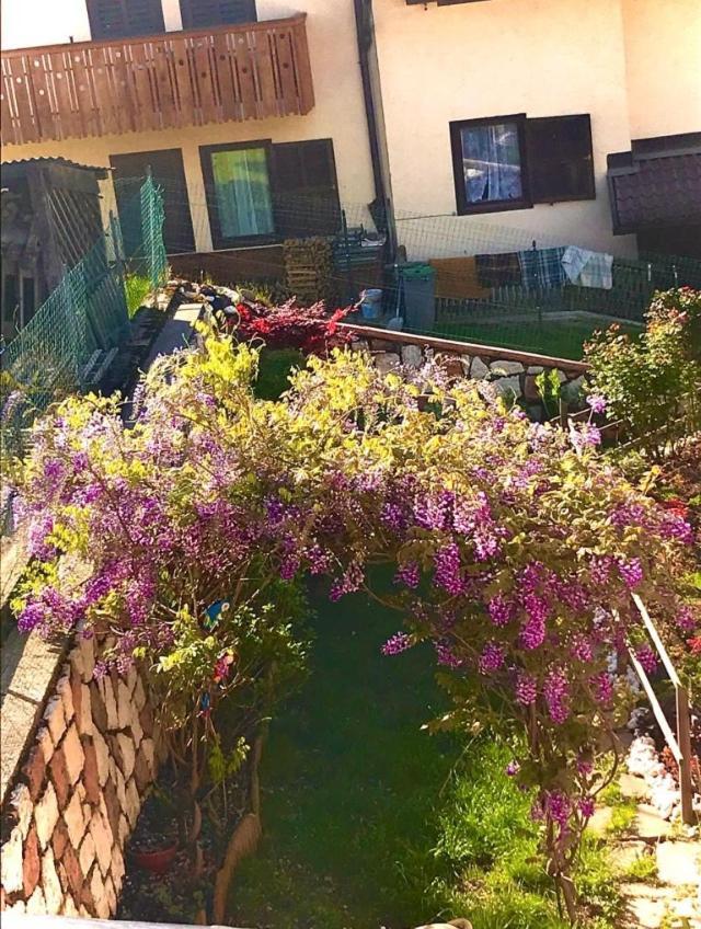Appartement Bella Vista à Canal San Bovo Extérieur photo